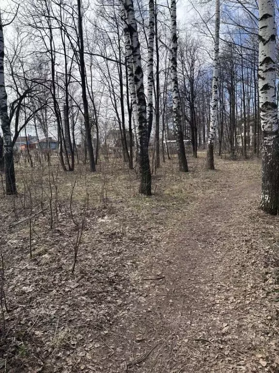 Участок в Нижегородская область, Кстово ул. Постниковых (9.0 сот.) - Фото 0