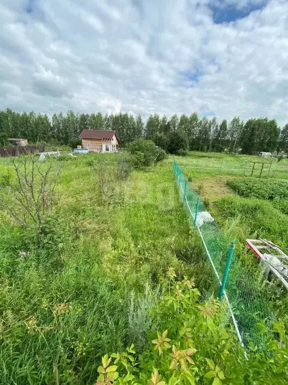 участок в свердловская область, белоярский городской округ, д. гусева . - Фото 0