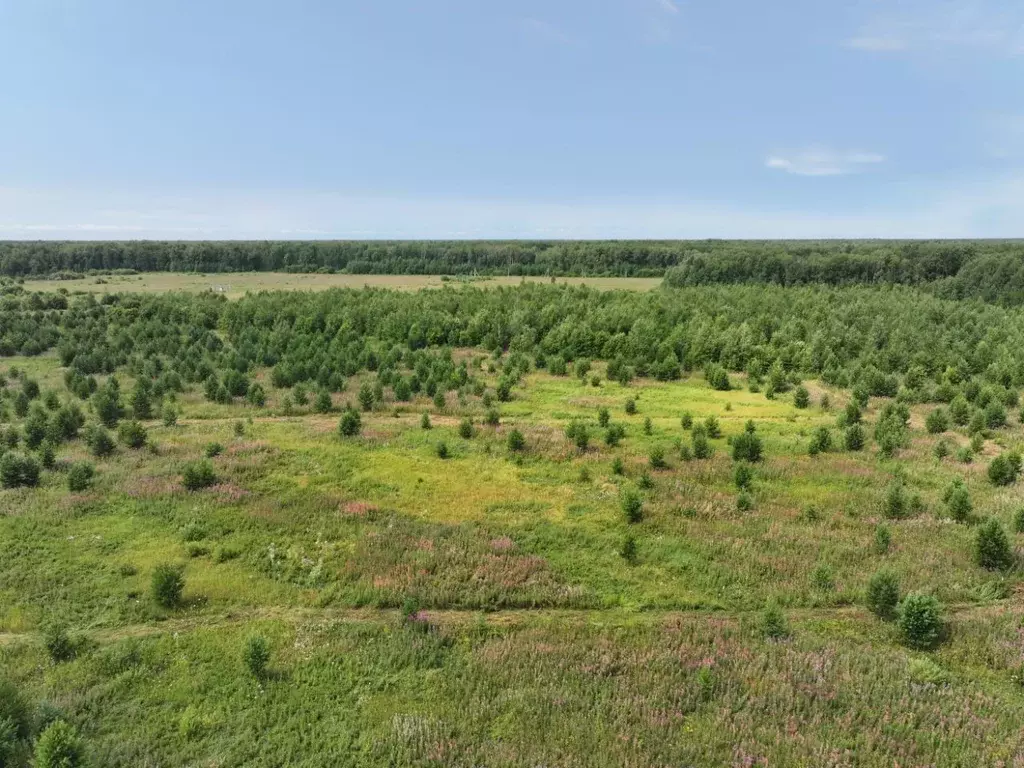 Участок в Тюменская область, Тюменский район, с. Луговое ул. ... - Фото 0