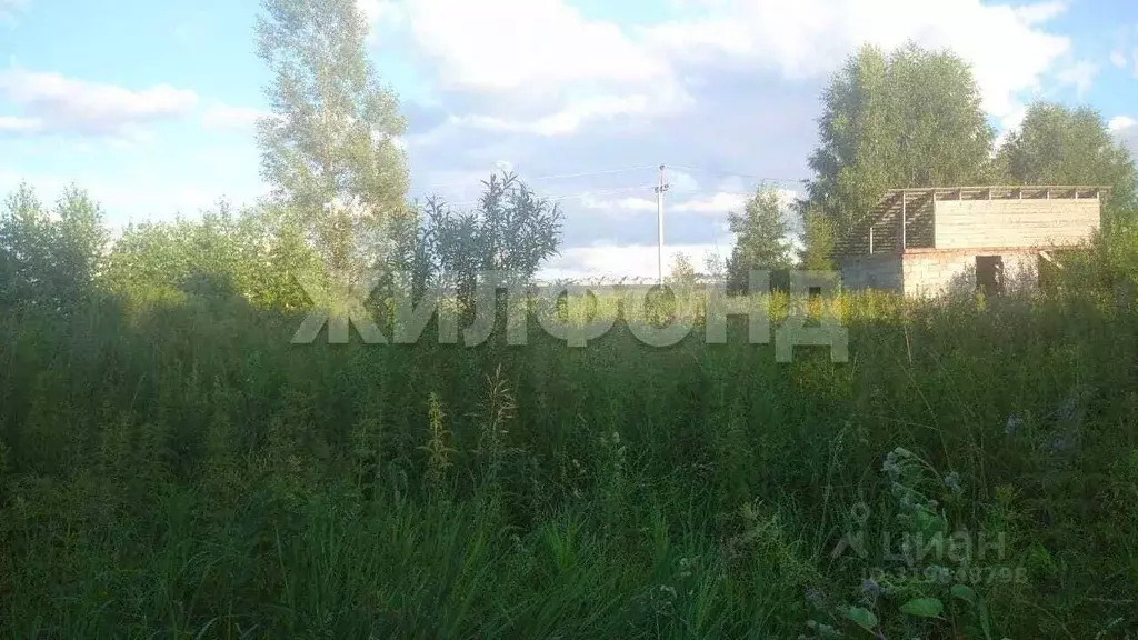 Участок в Новосибирская область, Новосибирский район, Каменский ... - Фото 0