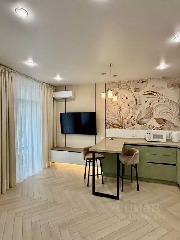 Студия Татарстан, Казань ул. Николая Ершова, 65Б/3 (30.0 м) - Фото 1