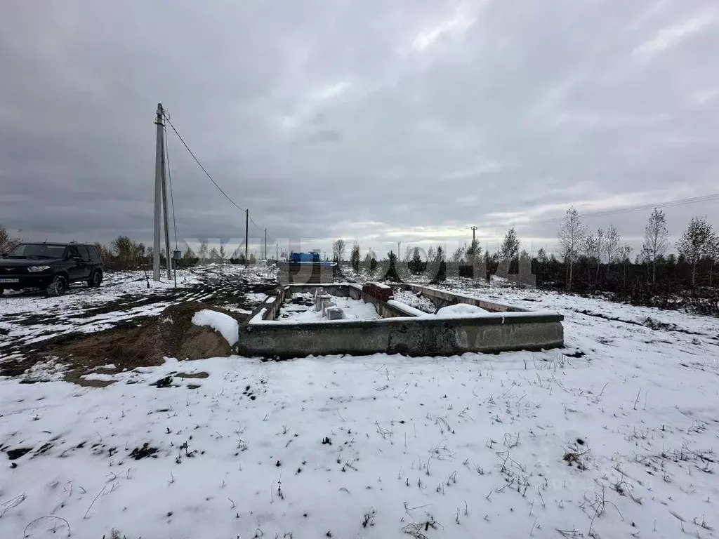 Участок в Новосибирская область, Колыванский район, Большая Семья СНТ  ... - Фото 0