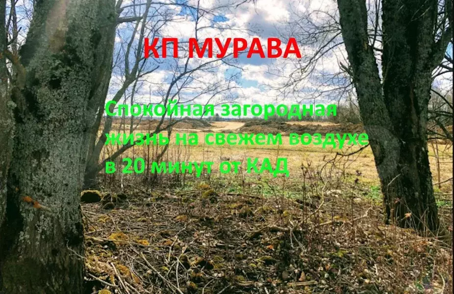 Дом 102 м на участке 8 сот. - Фото 1