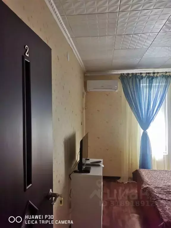 Комната Краснодарский край, Темрюкский район, Голубицкое с/пос, ... - Фото 1