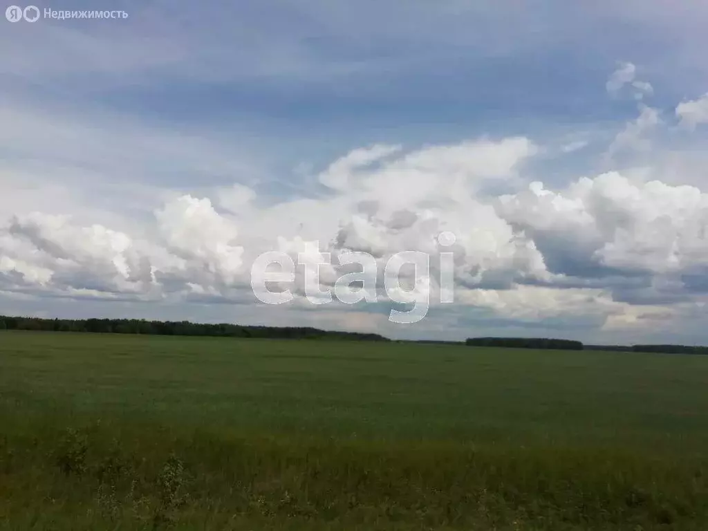 Дом в Кормиловский район, село Черниговка (38 м) - Фото 1