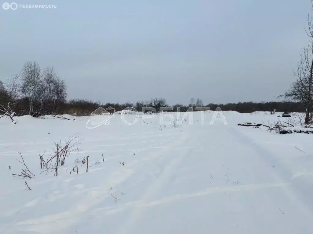 Участок в Тюмень, садовое товарищество Рябинка-2 (10.16 м) - Фото 1