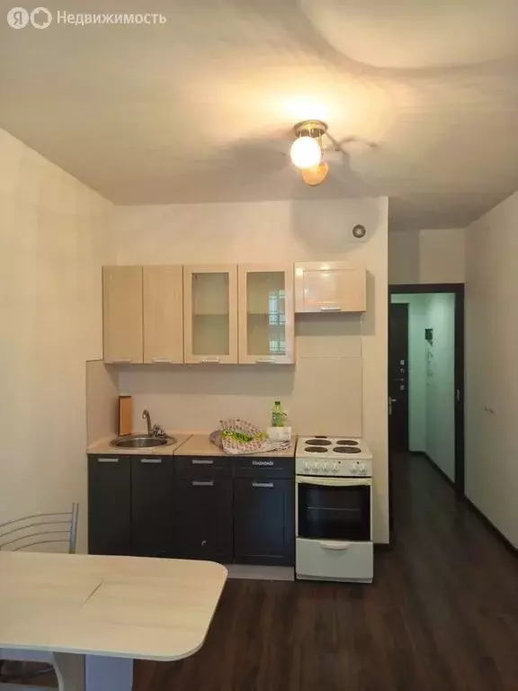 Квартира-студия: Санкт-Петербург, проспект Ветеранов, 173к7 (25 м) - Фото 1