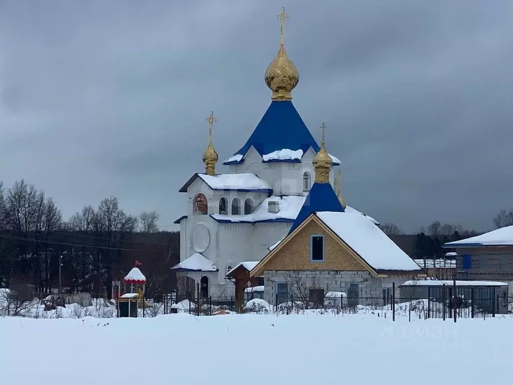 Дом в Московская область, Домодедово городской округ, с. Красный Путь ... - Фото 2