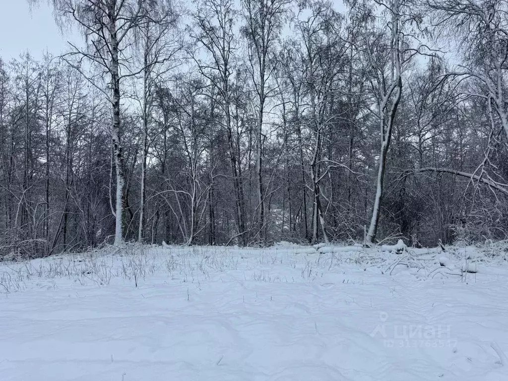 Участок в Ленинградская область, Лужский район, Володарское с/пос, ... - Фото 1