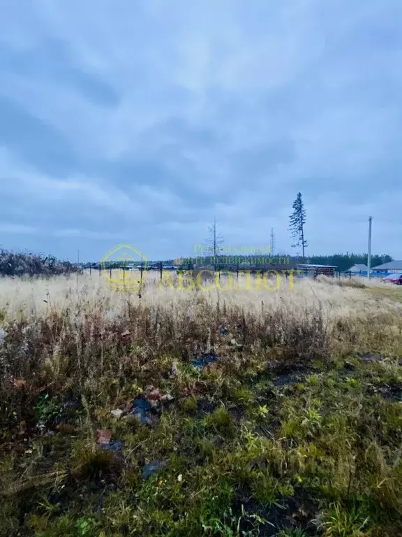 Участок в Свердловская область, Ревда ул. Вишневая (13.0 сот.) - Фото 2