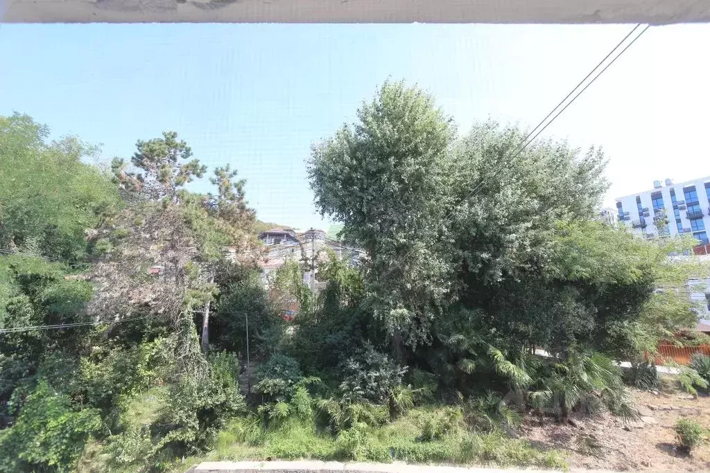 2-к кв. Краснодарский край, Сочи Курортный просп., 96/6 (54.0 м) - Фото 2