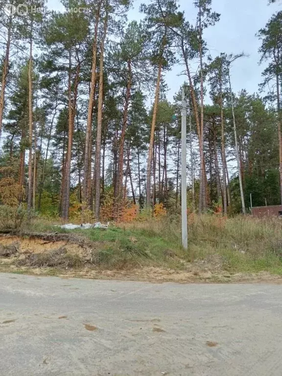 Участок в Нижегородская область, Володарский муниципальный округ, ... - Фото 1