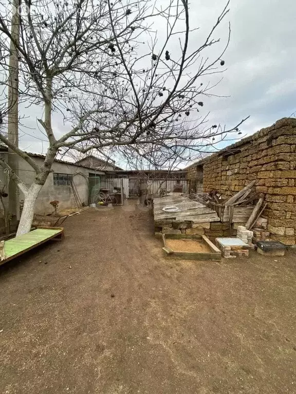 Дом в Серебрянское сельское поселение, село Орловка, улица 40 лет ... - Фото 2