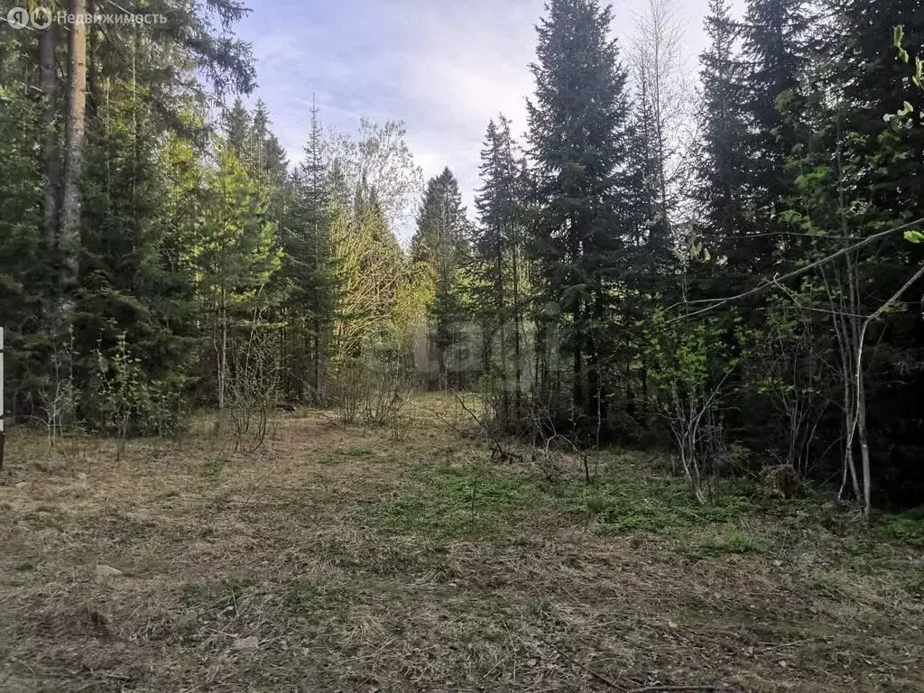 Участок в посёлок Уралец, Горнолыжная улица (15.53 м) - Фото 2