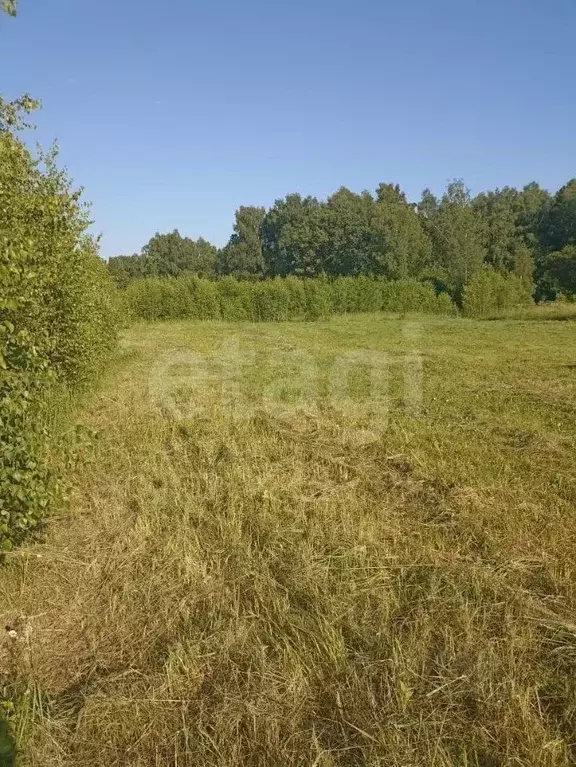 Участок в Калужская область, Тарусский муниципальный округ, Алекино ... - Фото 1