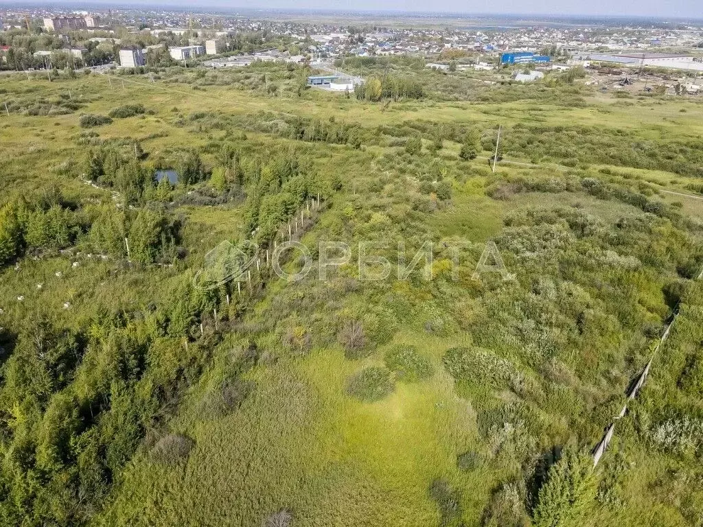 Участок в Тюменская область, Тюмень Центральная пл. (25.0 сот.) - Фото 1