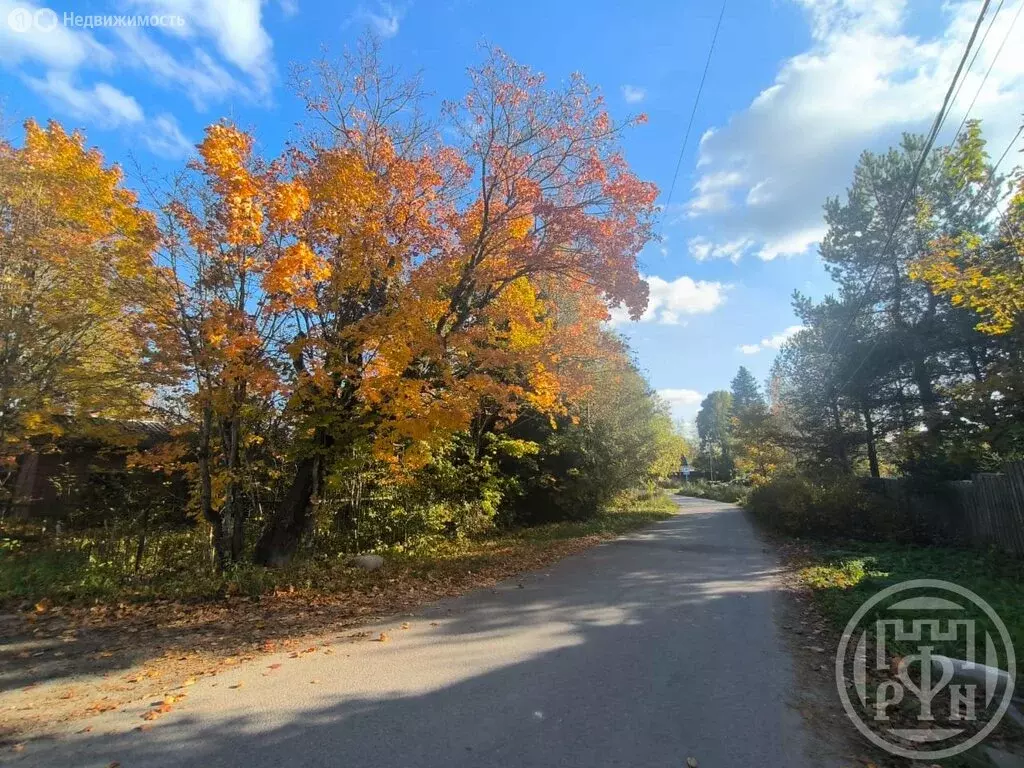 Участок в деревня Куйвози, улица Александрова (14 м) - Фото 1