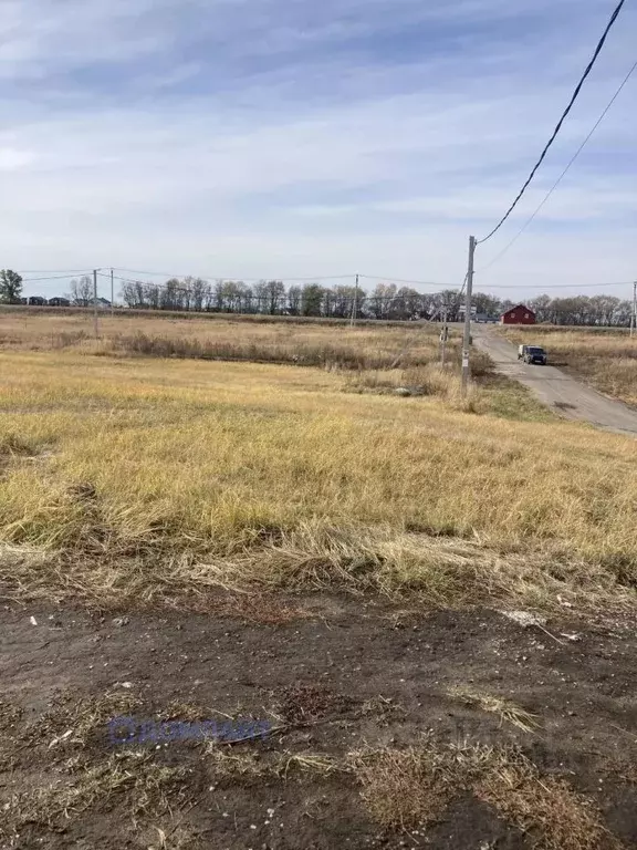 Участок в Самарская область, Красный Яр с/пос, пос. Угловой, Зона ... - Фото 2