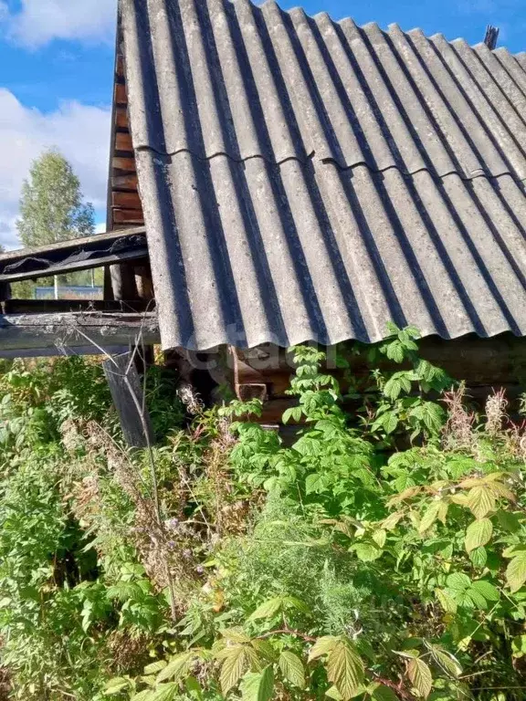 Участок в Свердловская область, Нижний Тагил городской округ, с. ... - Фото 0