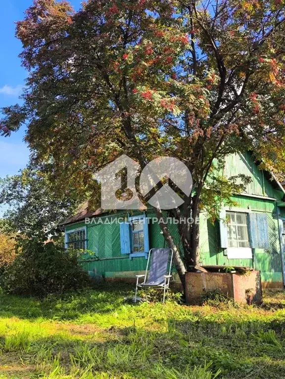 Участок в Новосибирская область, Новосибирск Северный садовод СНТ, 48 ... - Фото 0