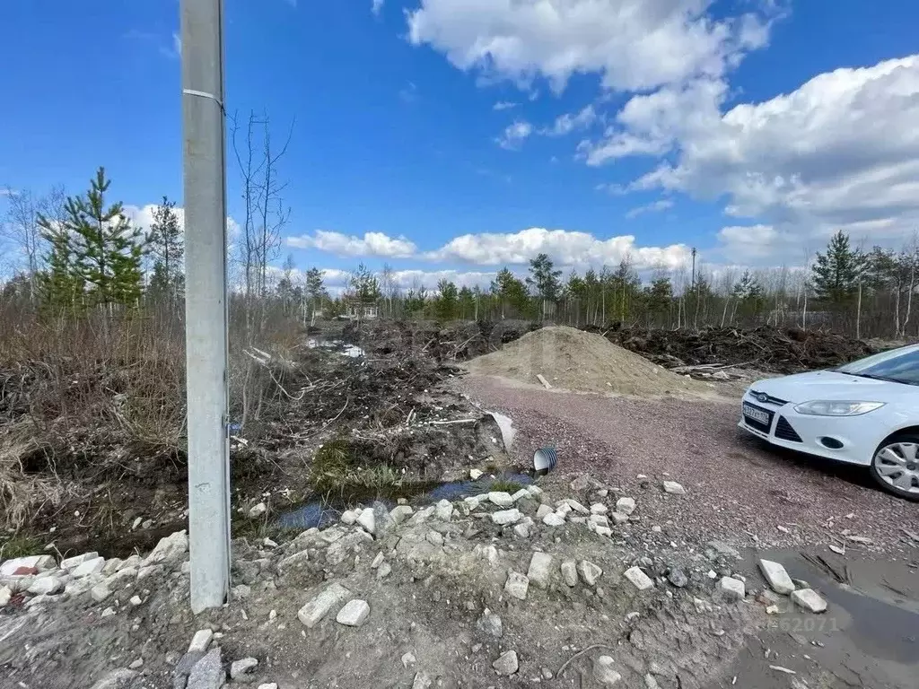 Участок в Ленинградская область, Всеволожский район, Рахьинское ... - Фото 1