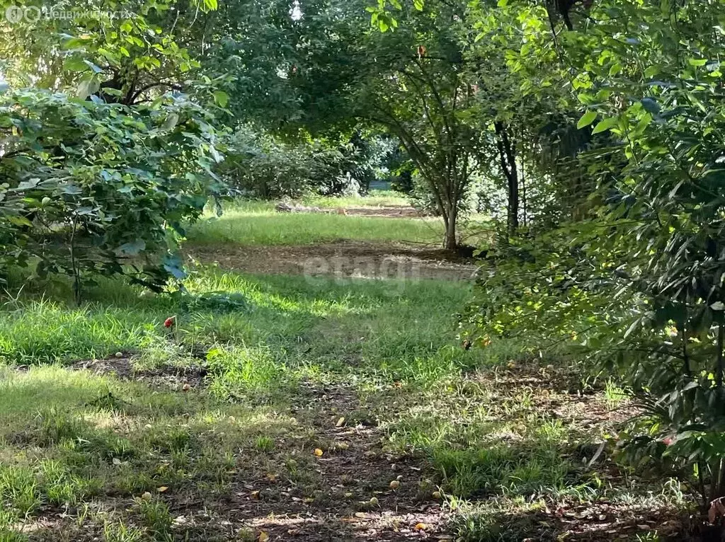 Участок в Краснодарский край, городской округ Сочи, село Нижняя ... - Фото 1