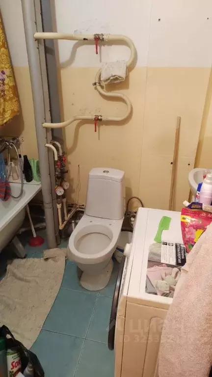 Студия Красноярский край, Красноярск Норильская ул., 40 (27.0 м) - Фото 1