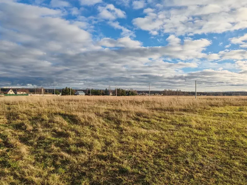Участок в Московская область, Раменский муниципальный округ, Давыдово ... - Фото 1