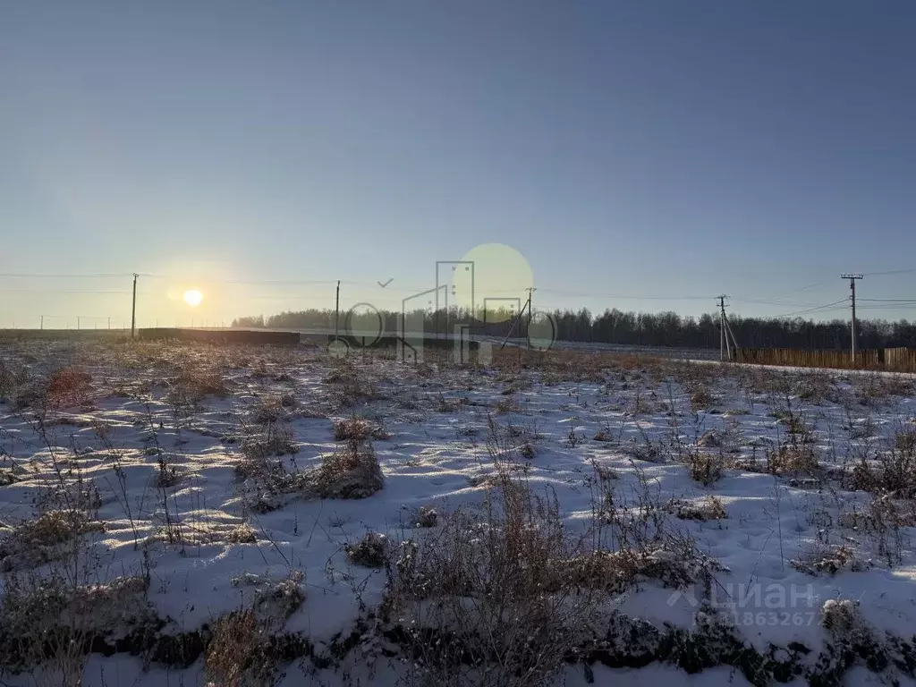 Участок в Иркутская область, Иркутский муниципальный округ, д. ... - Фото 2