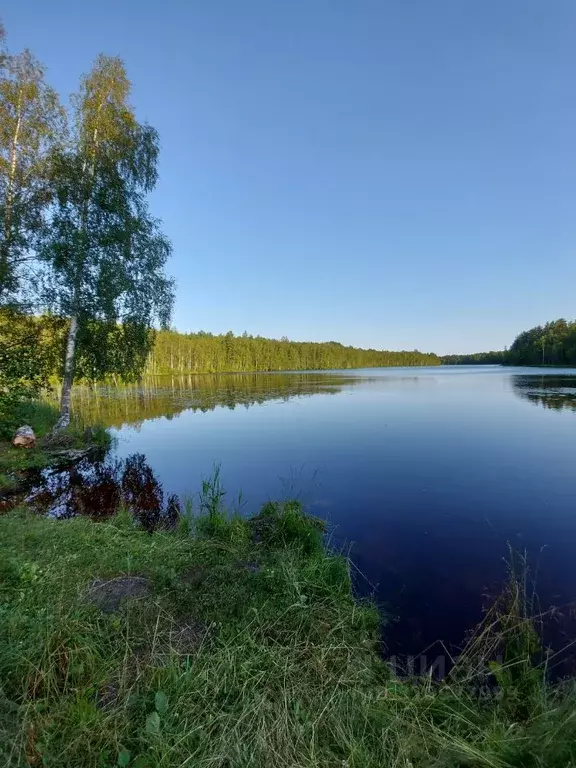 Дом в Ленинградская область, Всеволожский район, Токсовское городское ... - Фото 0