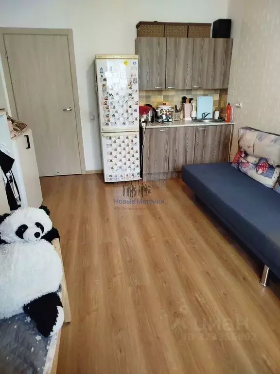 Студия Санкт-Петербург просп. Королева, 57к1 (26.0 м) - Фото 2