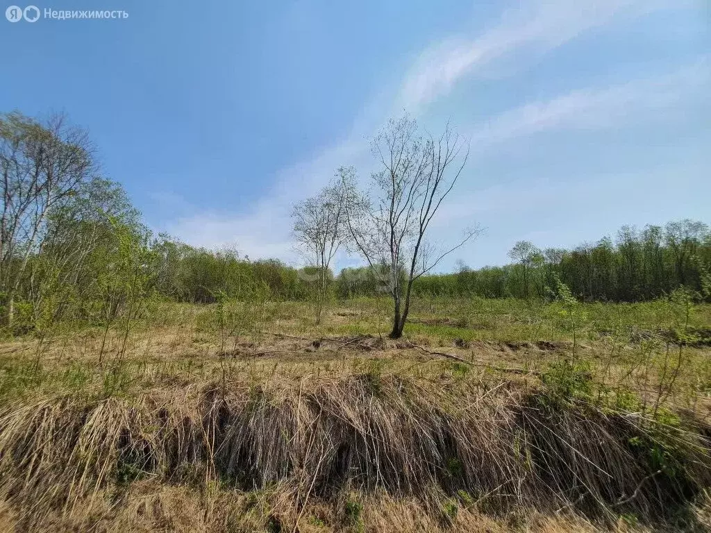 Участок в Петропавловск-Камчатский, жилой район Сероглазка (7.3 м) - Фото 1