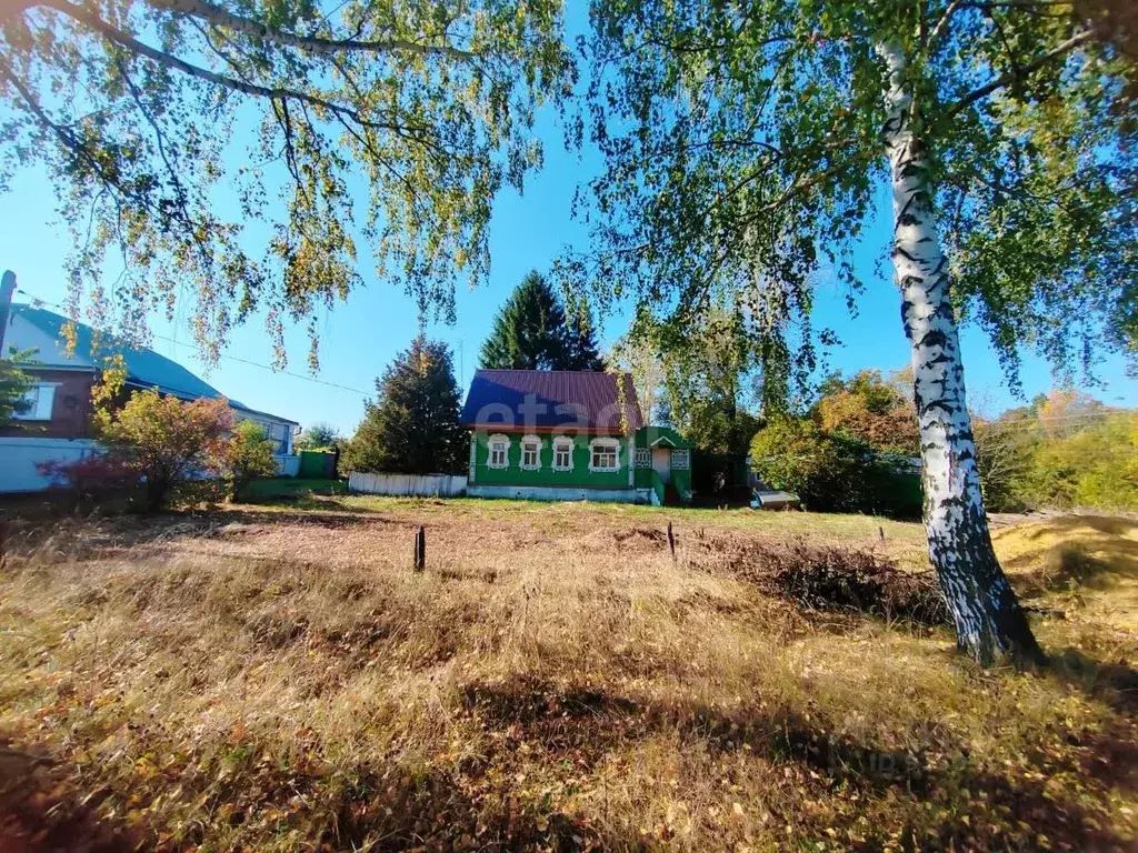 Дом в Тамбовская область, Мичуринский муниципальный округ, с. Стаево ... - Фото 1