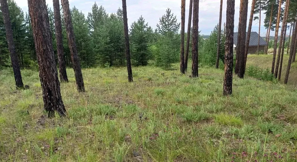 Участок в Бурятия, Улан-Удэ 121-й мкр,  (8.0 сот.) - Фото 1