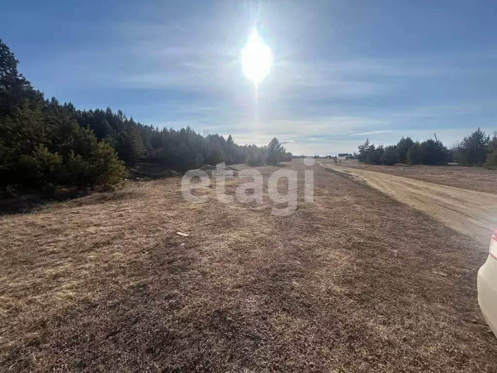 Участок в Бурятия, Кабанский район, с. Сухая  (5.4 сот.) - Фото 1