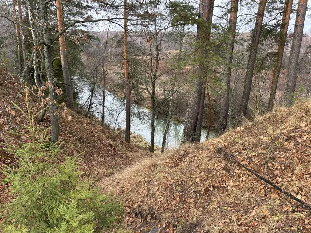 Участок в Владимирская область, Александровский район, Каринское ... - Фото 1