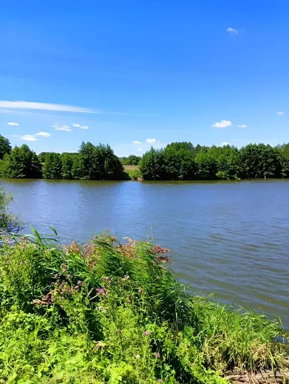 Участок в Саратовская область, Базарно-Карабулакский район, ... - Фото 1