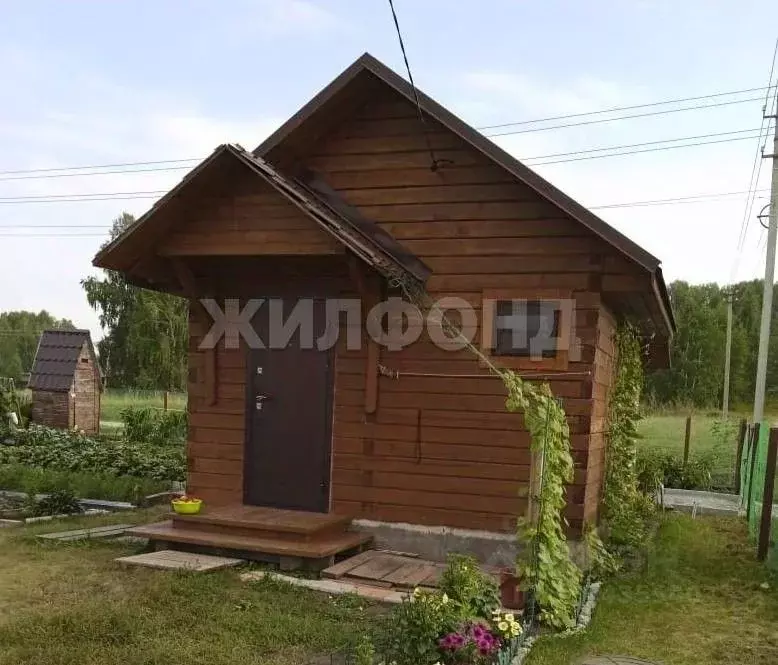 Дом в Новосибирская область, Искитимский район, с. Быстровка  (16 м) - Фото 1