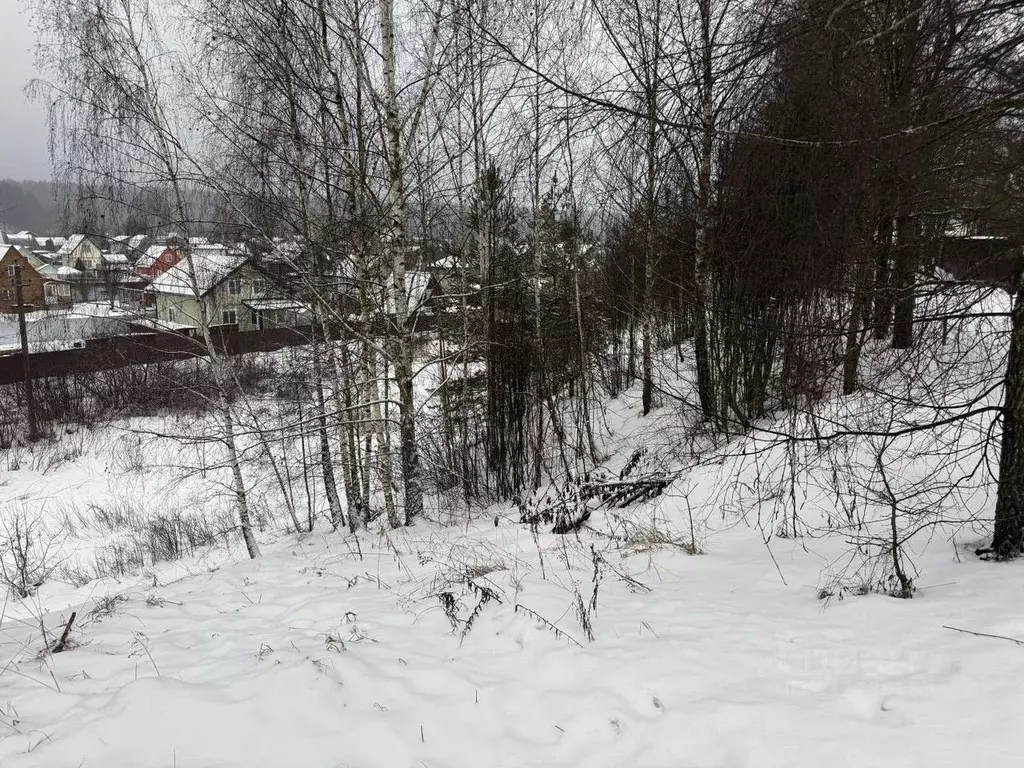 Участок в Московская область, Пушкинский городской округ, д. Лепешки  ... - Фото 1