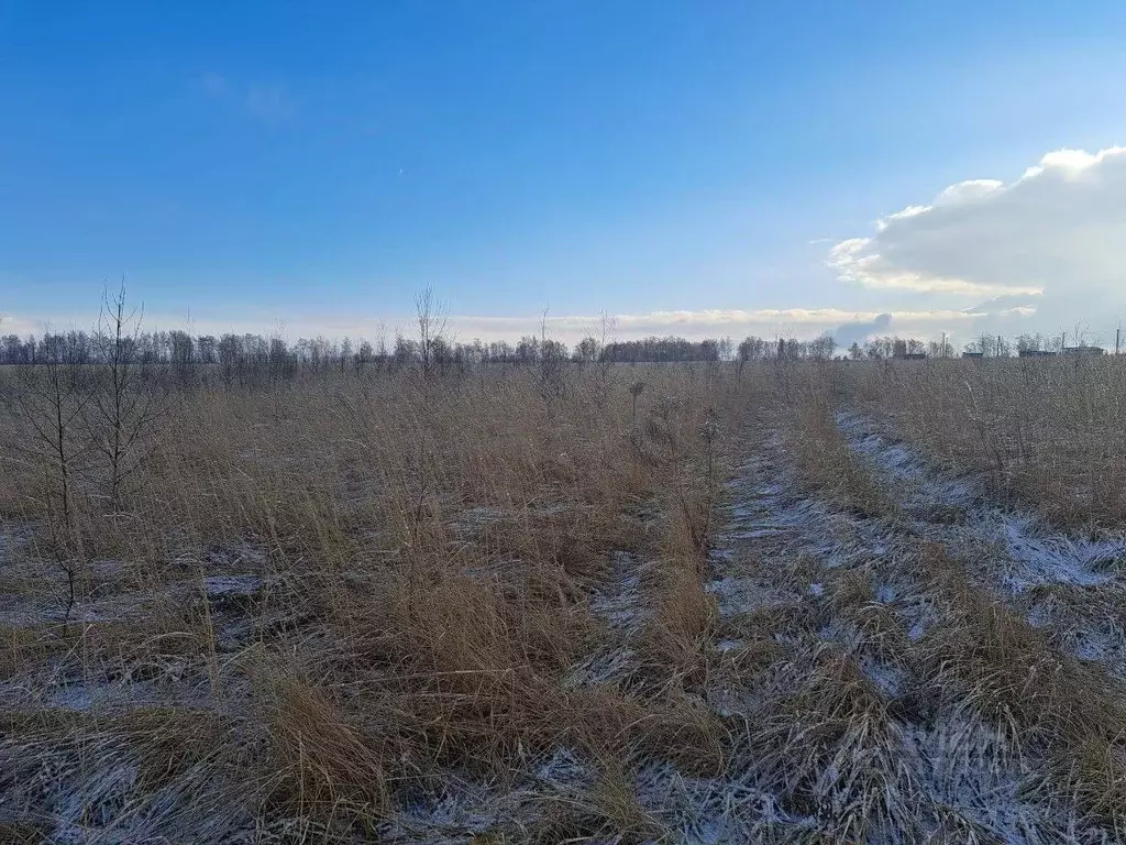 Участок в Московская область, Кашира городской округ, д. Тарасково ... - Фото 0