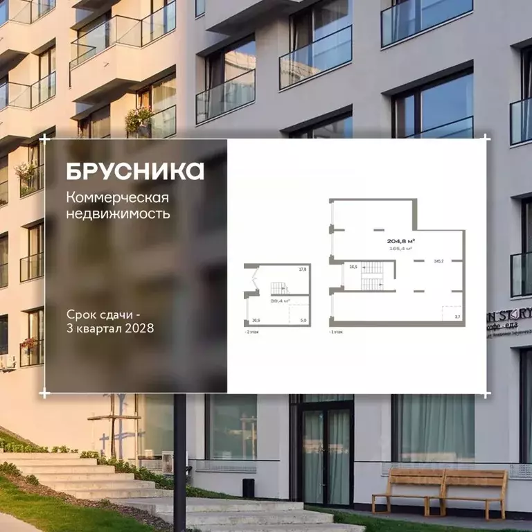 Помещение свободного назначения в Новосибирская область, Новосибирск ... - Фото 1