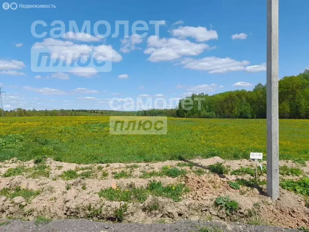 участок в московская область, городской округ щёлково, деревня костыши . - Фото 1