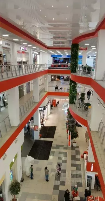 Торговая площадь в Красноярский край, Красноярск ул. Белинского, 8 ... - Фото 2