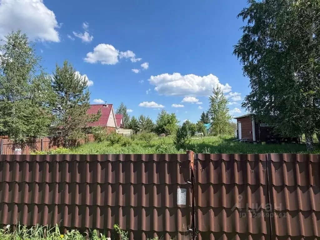 Участок в Новосибирская область, Колыванский район, Луговое СТ  (6.67 ... - Фото 1