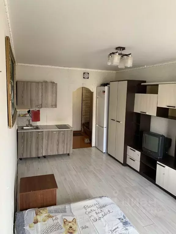 Студия Башкортостан, Уфа ул. Ферина, 1/1 (23.0 м) - Фото 0