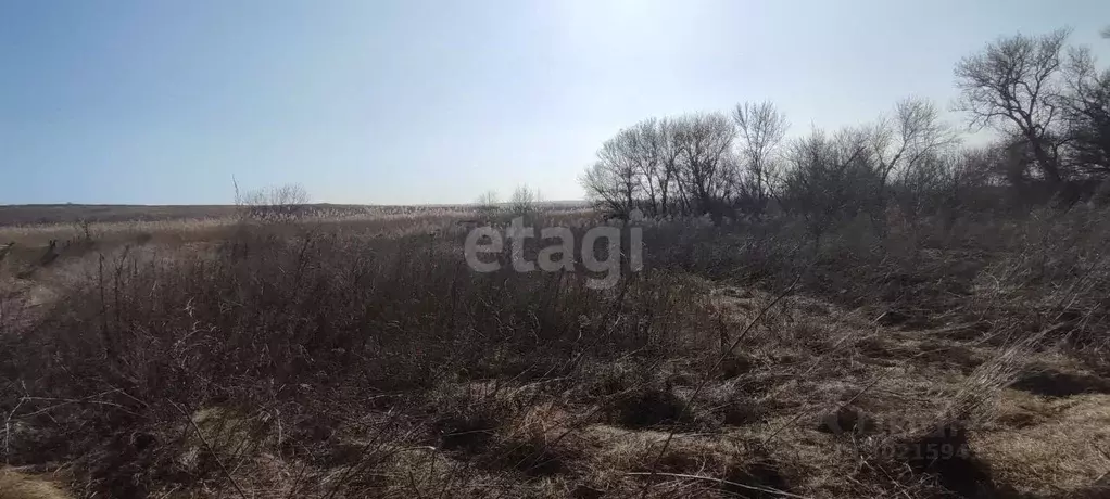 Участок в Ростовская область, Таганрог ул. Мичурина (37.3 сот.) - Фото 1