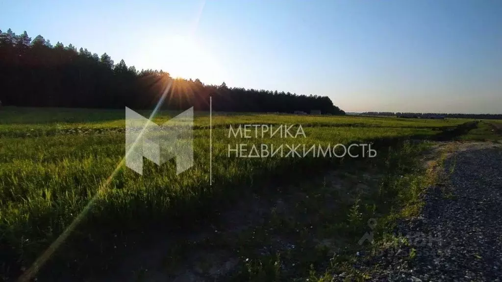 Участок в Тюменская область, Тюмень ул. Ягодная (5.0 сот.) - Фото 1