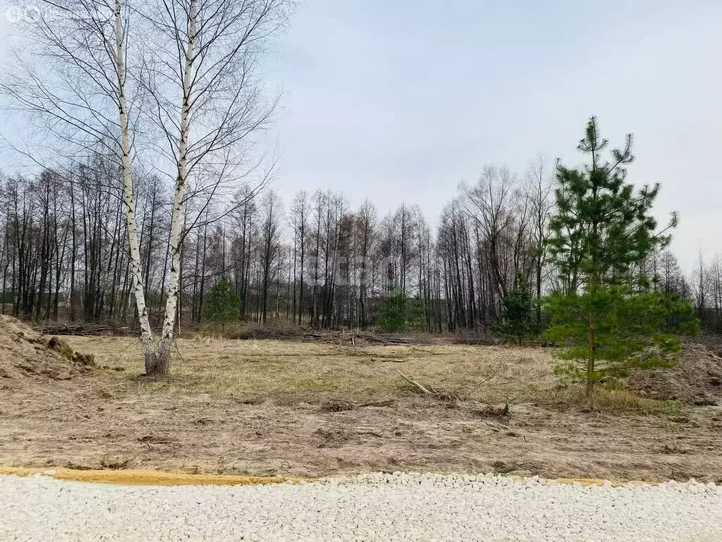Участок в округ Муром, деревня Макаровка (12.4 м) - Фото 1