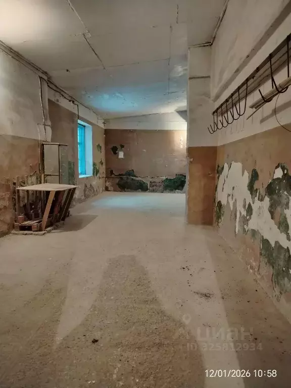 Склад в Новосибирская область, Новосибирск ул. Мира, 58 (119 м) - Фото 1