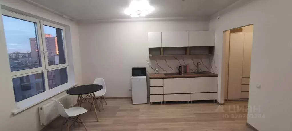 Студия Пермский край, Пермь Трамвайная ул., 27 (28.8 м) - Фото 2